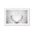 Picture of Forest King  _GroupedProduct_Rectangle_Landscape_Photography _GroupedProduct_Rectangle_Landscape_Framed_Matted_