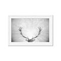 Picture of Forest King  _GroupedProduct_Rectangle_Landscape_Photography _GroupedProduct_Rectangle_Landscape_Framed_Matted_