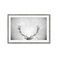 Picture of Forest King  _GroupedProduct_Rectangle_Landscape_Photography _GroupedProduct_Rectangle_Landscape_Framed_Matted_