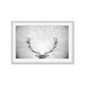 Picture of Forest King  _GroupedProduct_Rectangle_Landscape_Photography _GroupedProduct_Rectangle_Landscape_Framed_Matted_