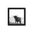 Picture of Scottish Fields Highland B&W _GroupedProduct_Square_Photography _GroupedProduct_Square_Framed_Matted_