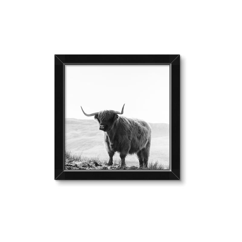 Picture of Scottish Fields Highland B&W _GroupedProduct_Square_Photography _GroupedProduct_Square_Framed_Matted_