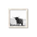 Picture of Scottish Fields Highland B&W _GroupedProduct_Square_Photography _GroupedProduct_Square_Framed_Matted_