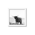 Picture of Scottish Fields Highland B&W _GroupedProduct_Square_Photography _GroupedProduct_Square_Framed_Matted_
