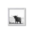 Picture of Scottish Fields Highland B&W _GroupedProduct_Square_Photography _GroupedProduct_Square_Framed_Matted_