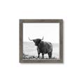 Picture of Scottish Fields Highland B&W _GroupedProduct_Square_Photography _GroupedProduct_Square_Framed_Matted_