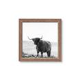 Picture of Scottish Fields Highland B&W _GroupedProduct_Square_Photography _GroupedProduct_Square_Framed_Matted_