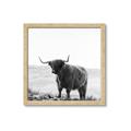 Picture of Scottish Fields Highland B&W _GroupedProduct_Square_Photography _GroupedProduct_Square_Framed_Matted_