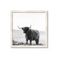 Picture of Scottish Fields Highland B&W _GroupedProduct_Square_Photography _GroupedProduct_Square_Framed_Matted_