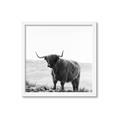 Picture of Scottish Fields Highland B&W _GroupedProduct_Square_Photography _GroupedProduct_Square_Framed_Matted_