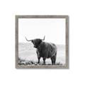 Picture of Scottish Fields Highland B&W _GroupedProduct_Square_Photography _GroupedProduct_Square_Framed_Matted_