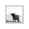 Picture of Scottish Fields Highland B&W _GroupedProduct_Square_Photography _GroupedProduct_Square_Framed_Matted_