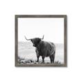 Picture of Scottish Fields Highland B&W _GroupedProduct_Square_Photography _GroupedProduct_Square_Framed_Matted_