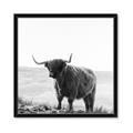 Picture of Scottish Fields Highland B&W _GroupedProduct_Square_Photography _GroupedProduct_Square_Framed_Matted_