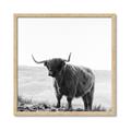Picture of Scottish Fields Highland B&W _GroupedProduct_Square_Photography _GroupedProduct_Square_Framed_Matted_