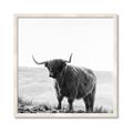 Picture of Scottish Fields Highland B&W _GroupedProduct_Square_Photography _GroupedProduct_Square_Framed_Matted_