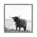 Picture of Scottish Fields Highland B&W _GroupedProduct_Square_Photography _GroupedProduct_Square_Framed_Matted_
