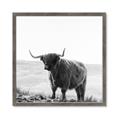 Picture of Scottish Fields Highland B&W _GroupedProduct_Square_Photography _GroupedProduct_Square_Framed_Matted_