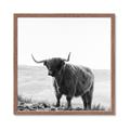 Picture of Scottish Fields Highland B&W _GroupedProduct_Square_Photography _GroupedProduct_Square_Framed_Matted_