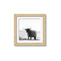 Picture of Scottish Fields Highland B&W _GroupedProduct_Square_Photography _GroupedProduct_Square_Framed_Matted_
