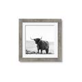Picture of Scottish Fields Highland B&W _GroupedProduct_Square_Photography _GroupedProduct_Square_Framed_Matted_