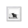 Picture of Scottish Fields Highland B&W _GroupedProduct_Square_Photography _GroupedProduct_Square_Framed_Matted_