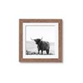 Picture of Scottish Fields Highland B&W _GroupedProduct_Square_Photography _GroupedProduct_Square_Framed_Matted_