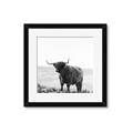 Picture of Scottish Fields Highland B&W _GroupedProduct_Square_Photography _GroupedProduct_Square_Framed_Matted_