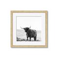 Picture of Scottish Fields Highland B&W _GroupedProduct_Square_Photography _GroupedProduct_Square_Framed_Matted_
