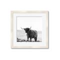 Picture of Scottish Fields Highland B&W _GroupedProduct_Square_Photography _GroupedProduct_Square_Framed_Matted_