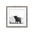 Picture of Scottish Fields Highland B&W _GroupedProduct_Square_Photography _GroupedProduct_Square_Framed_Matted_