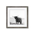 Picture of Scottish Fields Highland B&W _GroupedProduct_Square_Photography _GroupedProduct_Square_Framed_Matted_