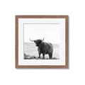 Picture of Scottish Fields Highland B&W _GroupedProduct_Square_Photography _GroupedProduct_Square_Framed_Matted_