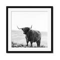 Picture of Scottish Fields Highland B&W _GroupedProduct_Square_Photography _GroupedProduct_Square_Framed_Matted_