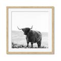 Picture of Scottish Fields Highland B&W _GroupedProduct_Square_Photography _GroupedProduct_Square_Framed_Matted_