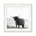 Picture of Scottish Fields Highland B&W _GroupedProduct_Square_Photography _GroupedProduct_Square_Framed_Matted_
