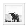 Picture of Scottish Fields Highland B&W _GroupedProduct_Square_Photography _GroupedProduct_Square_Framed_Matted_