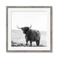 Picture of Scottish Fields Highland B&W _GroupedProduct_Square_Photography _GroupedProduct_Square_Framed_Matted_