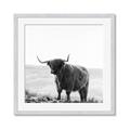Picture of Scottish Fields Highland B&W _GroupedProduct_Square_Photography _GroupedProduct_Square_Framed_Matted_