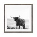 Picture of Scottish Fields Highland B&W _GroupedProduct_Square_Photography _GroupedProduct_Square_Framed_Matted_