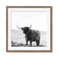 Picture of Scottish Fields Highland B&W _GroupedProduct_Square_Photography _GroupedProduct_Square_Framed_Matted_