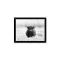 Picture of Hiding in the Grass _GroupedProduct_Rectangle_Landscape_Photography _GroupedProduct_Rectangle_Landscape_Framed_Matted_