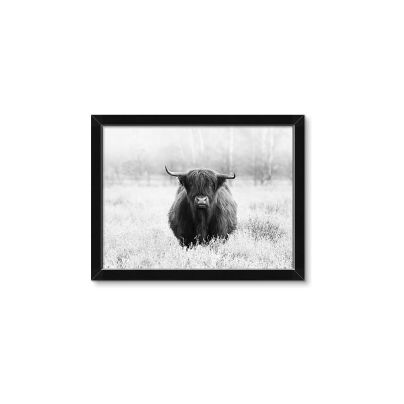 Picture of Hiding in the Grass _GroupedProduct_Rectangle_Landscape_Photography _GroupedProduct_Rectangle_Landscape_Framed_Matted_