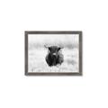 Picture of Hiding in the Grass _GroupedProduct_Rectangle_Landscape_Photography _GroupedProduct_Rectangle_Landscape_Framed_Matted_