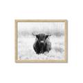 Picture of Hiding in the Grass _GroupedProduct_Rectangle_Landscape_Photography _GroupedProduct_Rectangle_Landscape_Framed_Matted_
