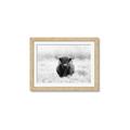 Picture of Hiding in the Grass _GroupedProduct_Rectangle_Landscape_Photography _GroupedProduct_Rectangle_Landscape_Framed_Matted_