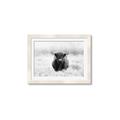 Picture of Hiding in the Grass _GroupedProduct_Rectangle_Landscape_Photography _GroupedProduct_Rectangle_Landscape_Framed_Matted_