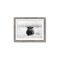 Picture of Hiding in the Grass _GroupedProduct_Rectangle_Landscape_Photography _GroupedProduct_Rectangle_Landscape_Framed_Matted_