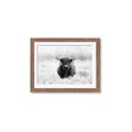 Picture of Hiding in the Grass _GroupedProduct_Rectangle_Landscape_Photography _GroupedProduct_Rectangle_Landscape_Framed_Matted_