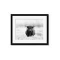 Picture of Hiding in the Grass _GroupedProduct_Rectangle_Landscape_Photography _GroupedProduct_Rectangle_Landscape_Framed_Matted_